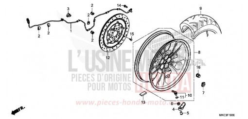 RUOTA POSTERIORE GL1800J di 2018